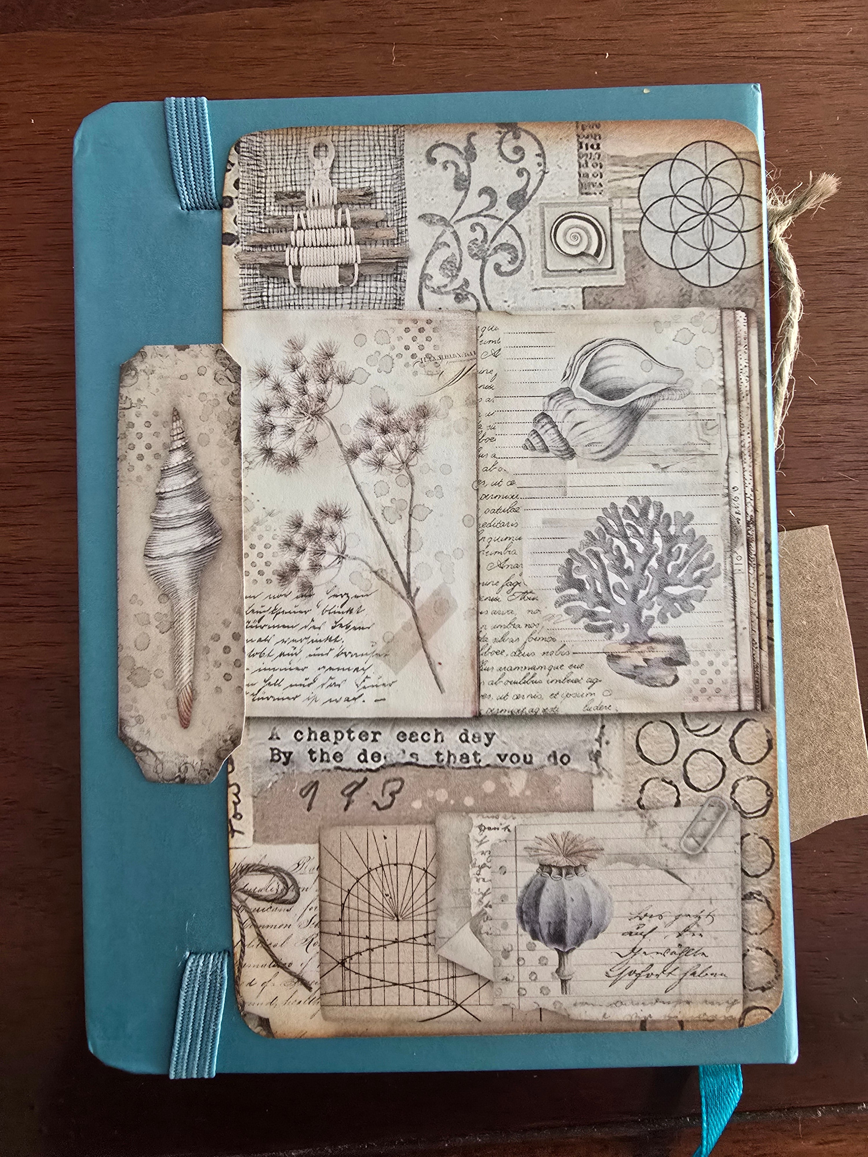 "Natural Forms" small hand-decorated notebook from the Ocean series