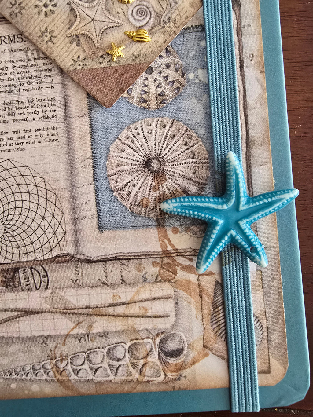 "Natural Forms" small hand-decorated notebook from the Ocean series